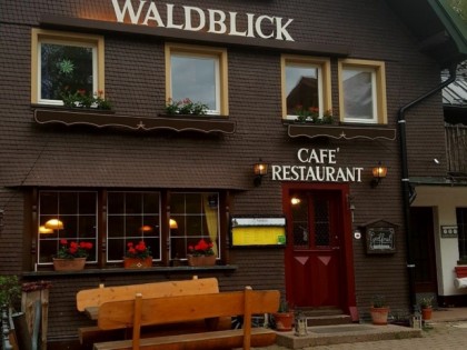 照片: Waldblick