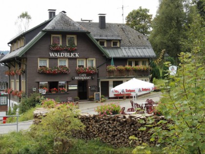 照片: Waldblick